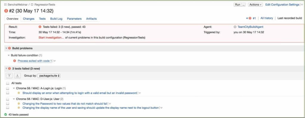 Sencha Test Tips - Run the Config & Check Results in TeamCity