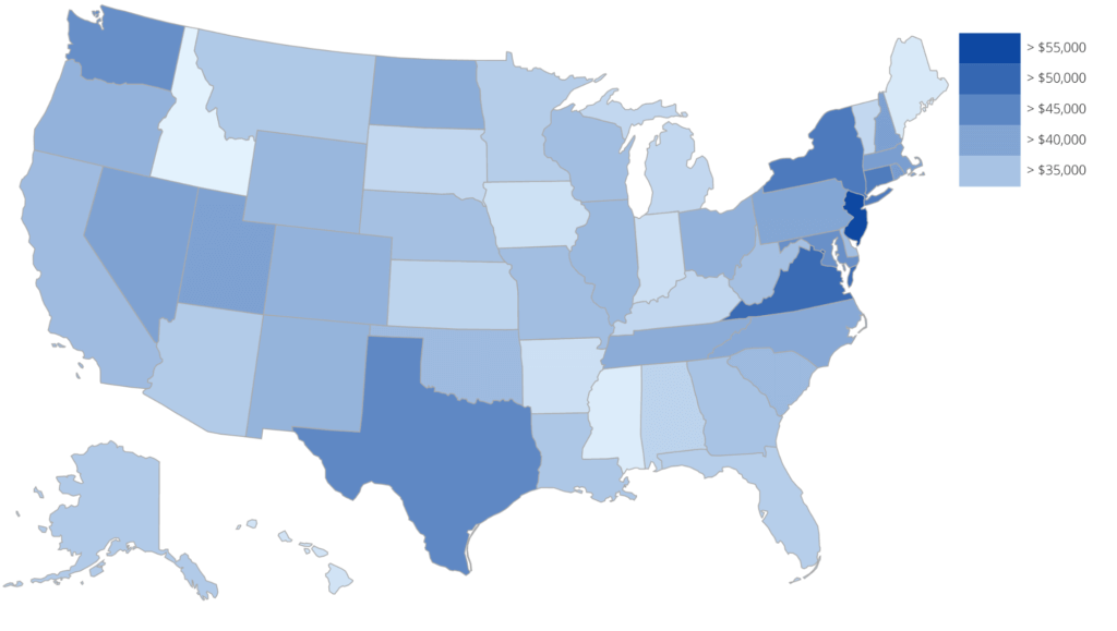 Ext JS Custom Data Visualization - Example