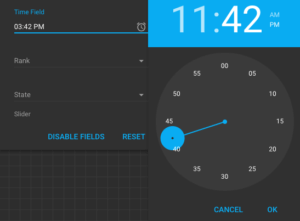 Time Field with Time Panel