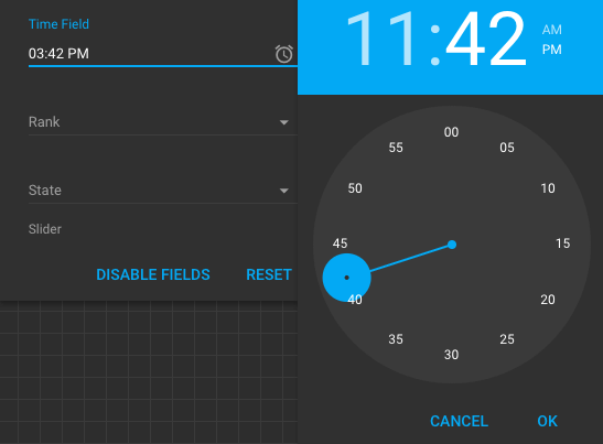 Time Field with Time Panel