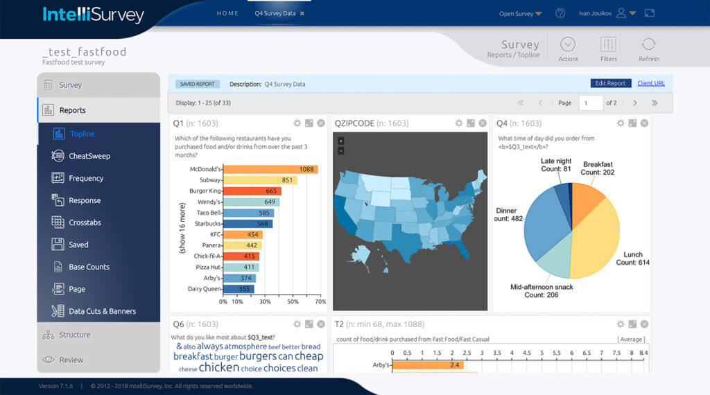 IntelliSurvey Example Report
