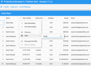 ExtAngular Grid Filtering