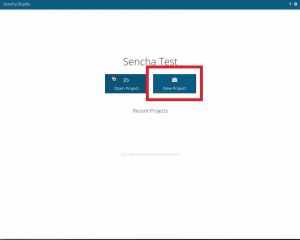 Click On The New Project Button