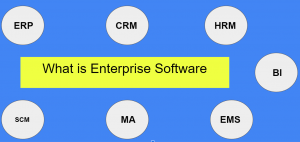 What is Enterprise Software application