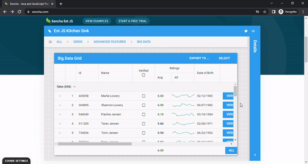 UI frameworka - Sencha Ext JS blazing-fast grid