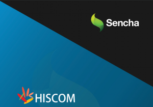Ext JS front-end framework and HISCOM