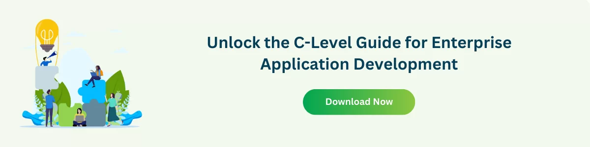 Banner: C-Level Guide for Enterprise Application Development