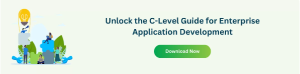C-Level Guide for Enterprise Application Development