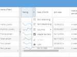 Advanced data grid built using the Ext JS framework