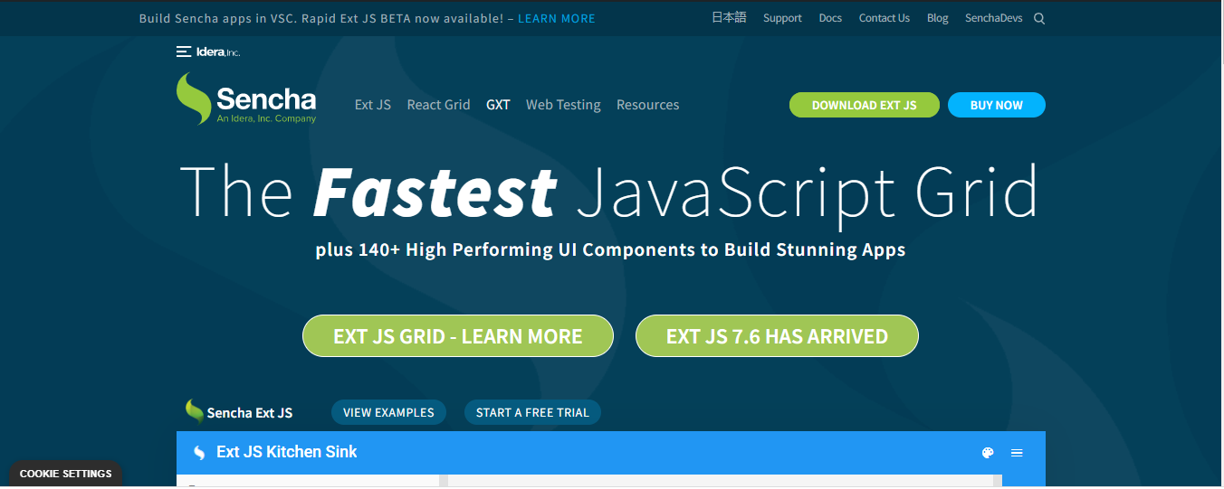 Why Is Sencha Ext JS the Best Front-End Framework