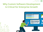Why Custom Software Development Is Critical for Enterprise Growth
