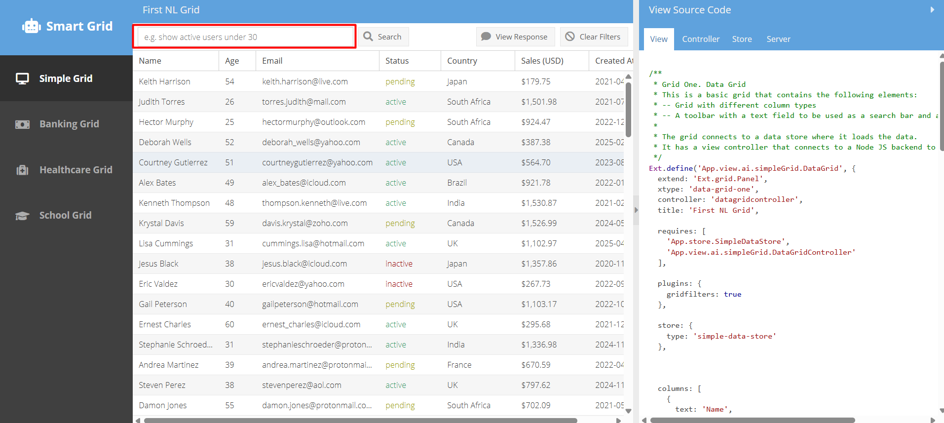 Natural Language Input